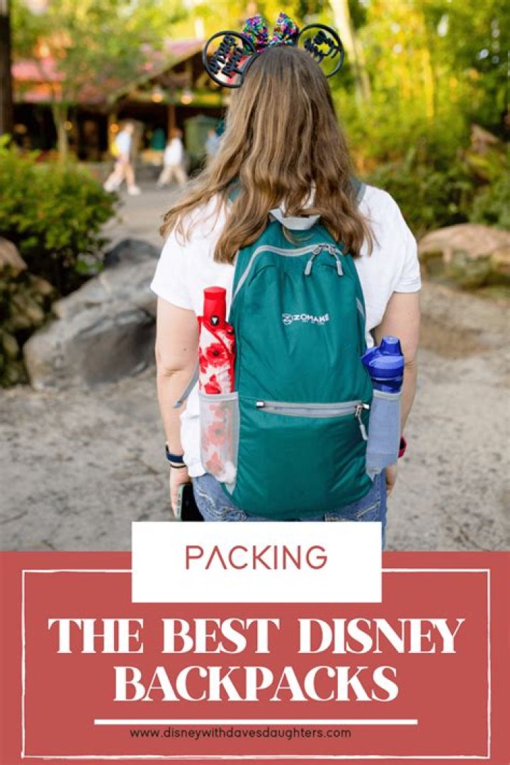 Can I bring a Camelbak into Disney World?