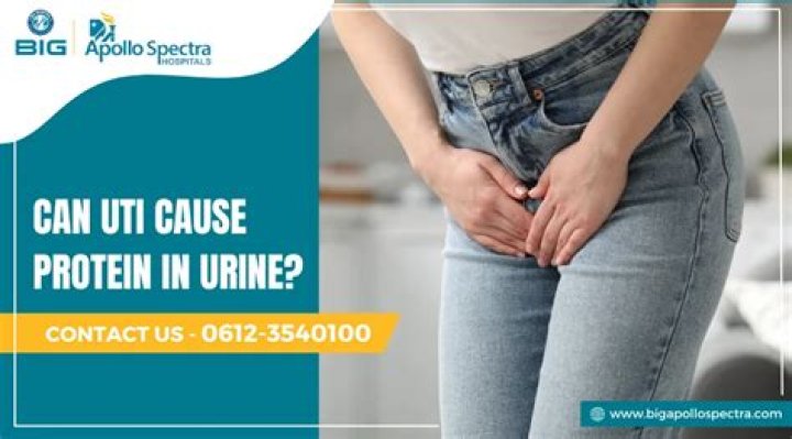 Can protein cause a UTI?