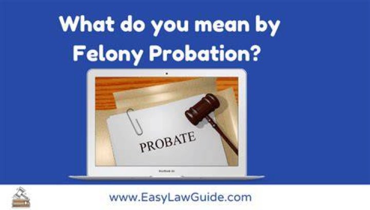 Can you run from felony probation?