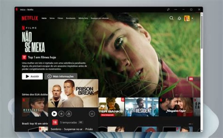 Como baixar o aplicativo Netflix?