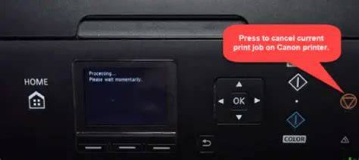 How do I cancel a print job on my Canon printer?