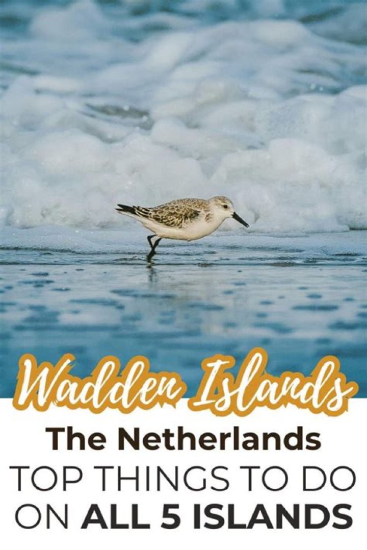 How do I get from Amsterdam to Wadden Islands?