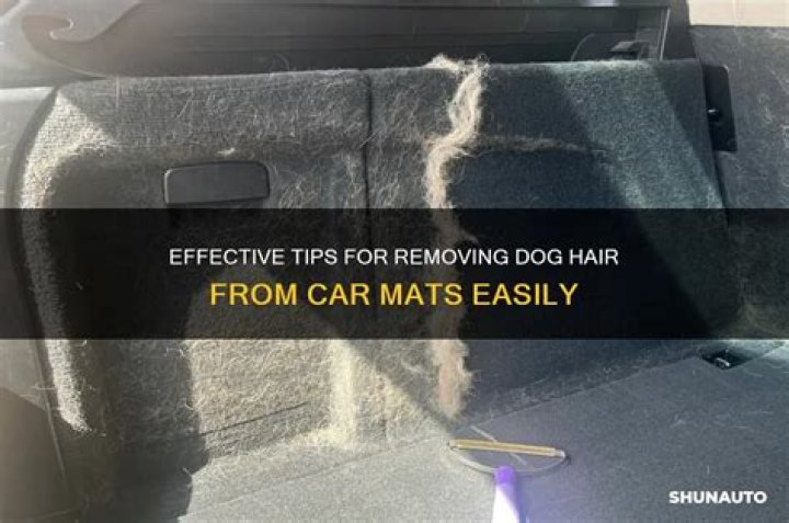 How do you get dog hair out of floor mats?