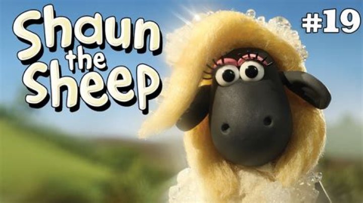 What company is Shaun?