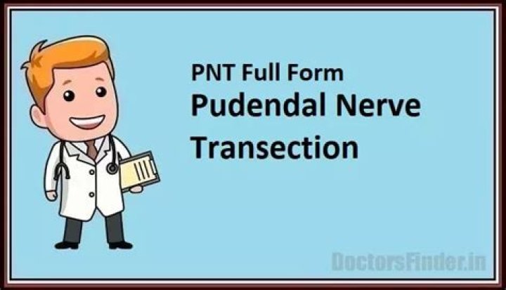 What does PNT mean?
