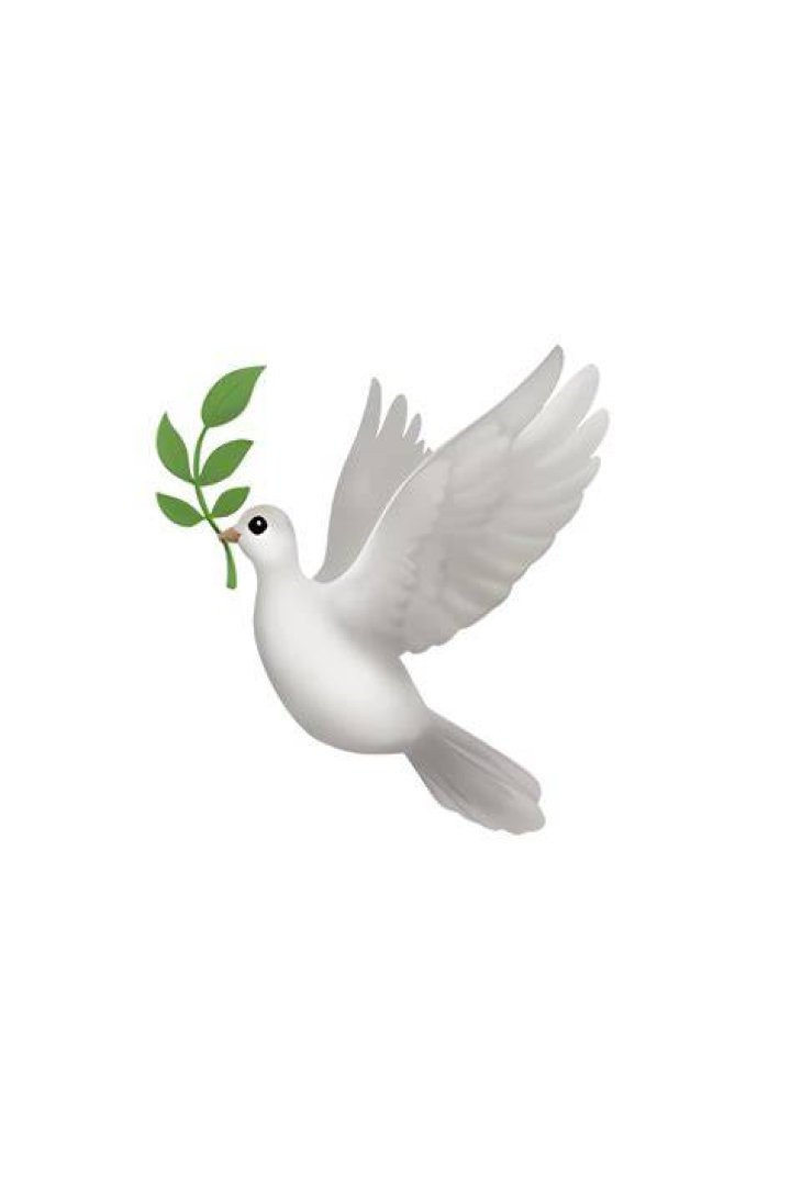 What does white dove emoji mean?