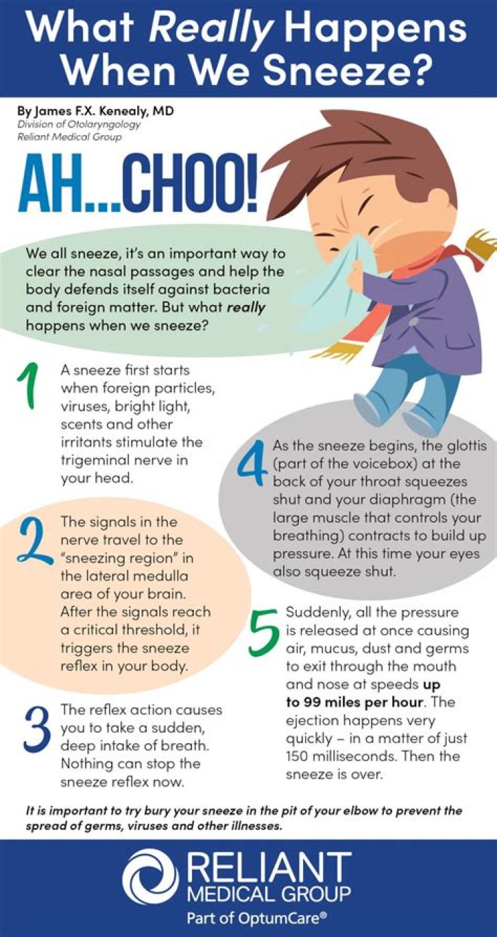 What happens if you crash while sneezing?