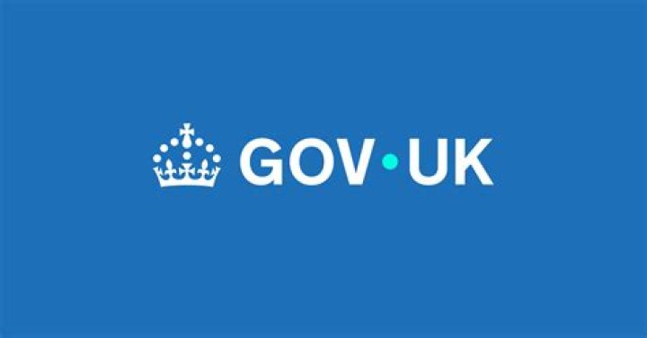 What is a proxy government?