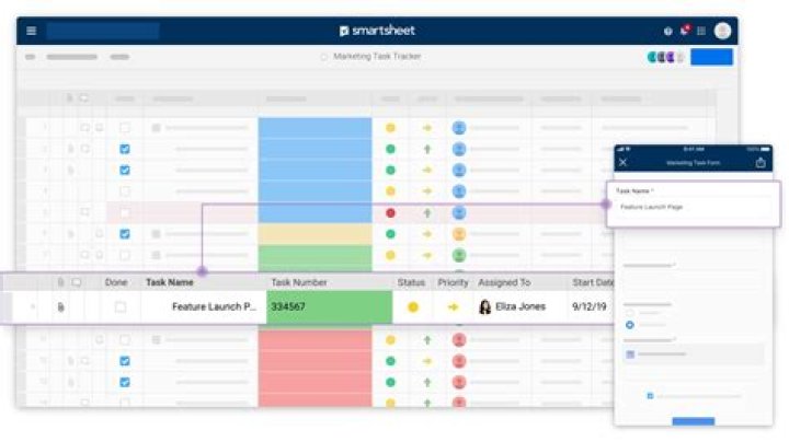 What is a smartsheet collaborator?