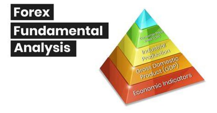 What is fundamental analysis in forex?