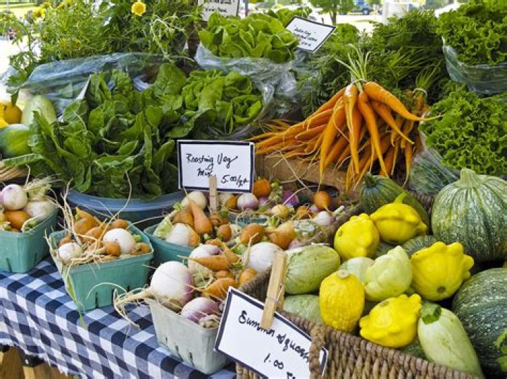 What is organic food market?