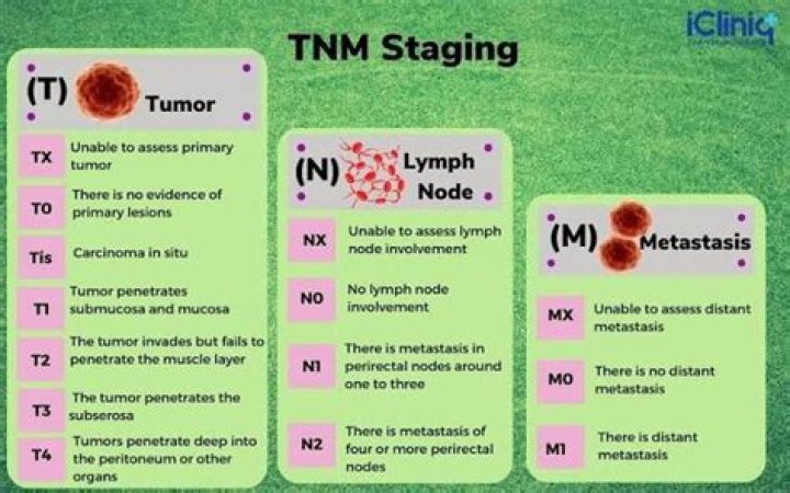 What TNM means?
