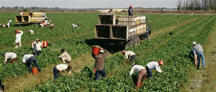 Where do migrant workers come from?