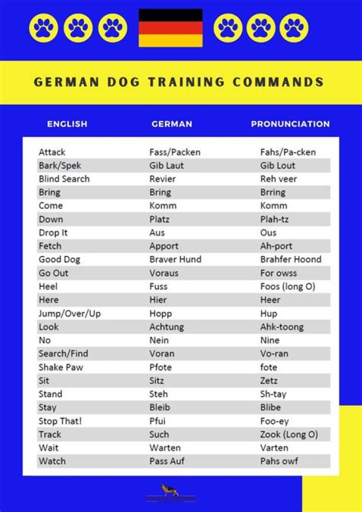 Why do dog trainers use German commands?